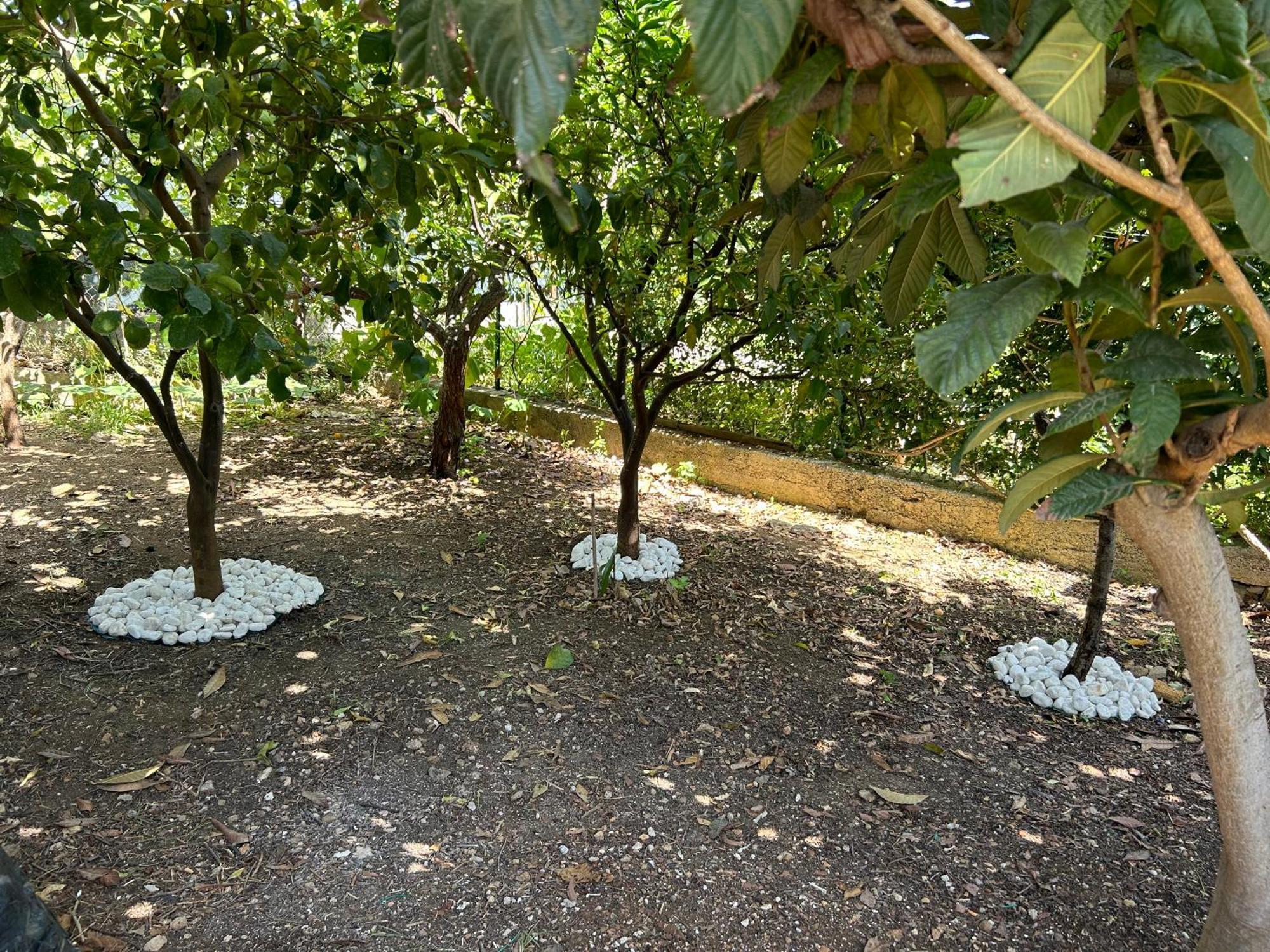 Aromi Di Sicilia Casa Vacanze Palermo Exterior photo